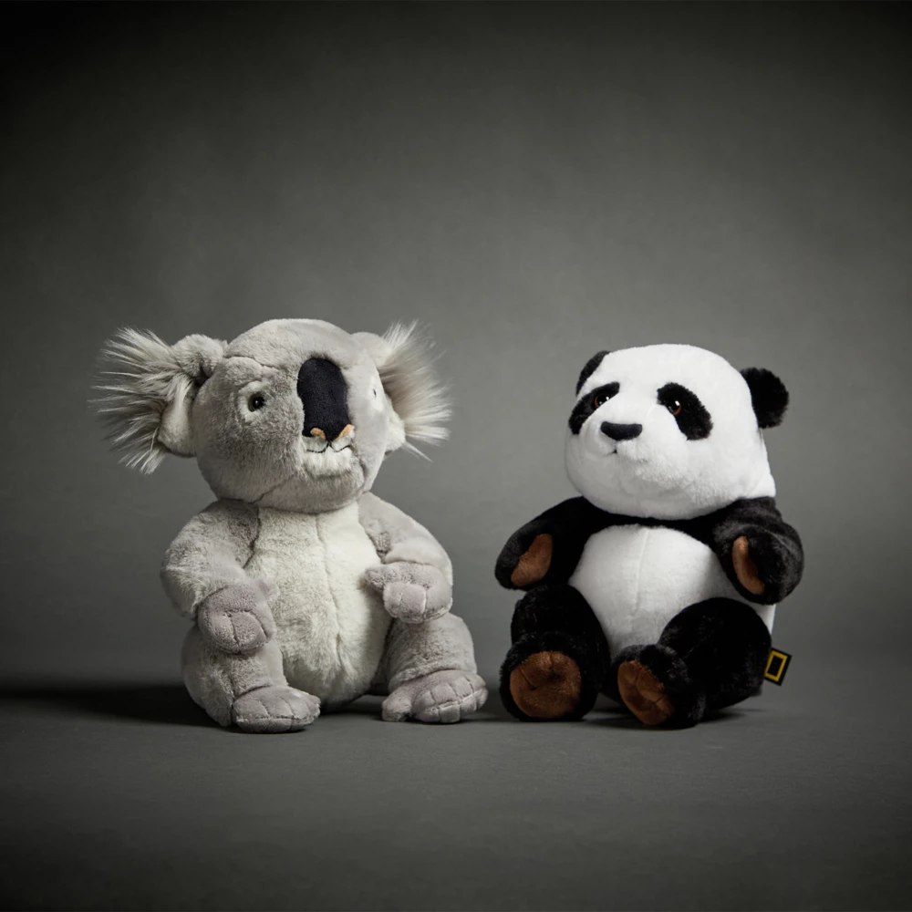 National Geographic Peluche moyenne Bébé koala