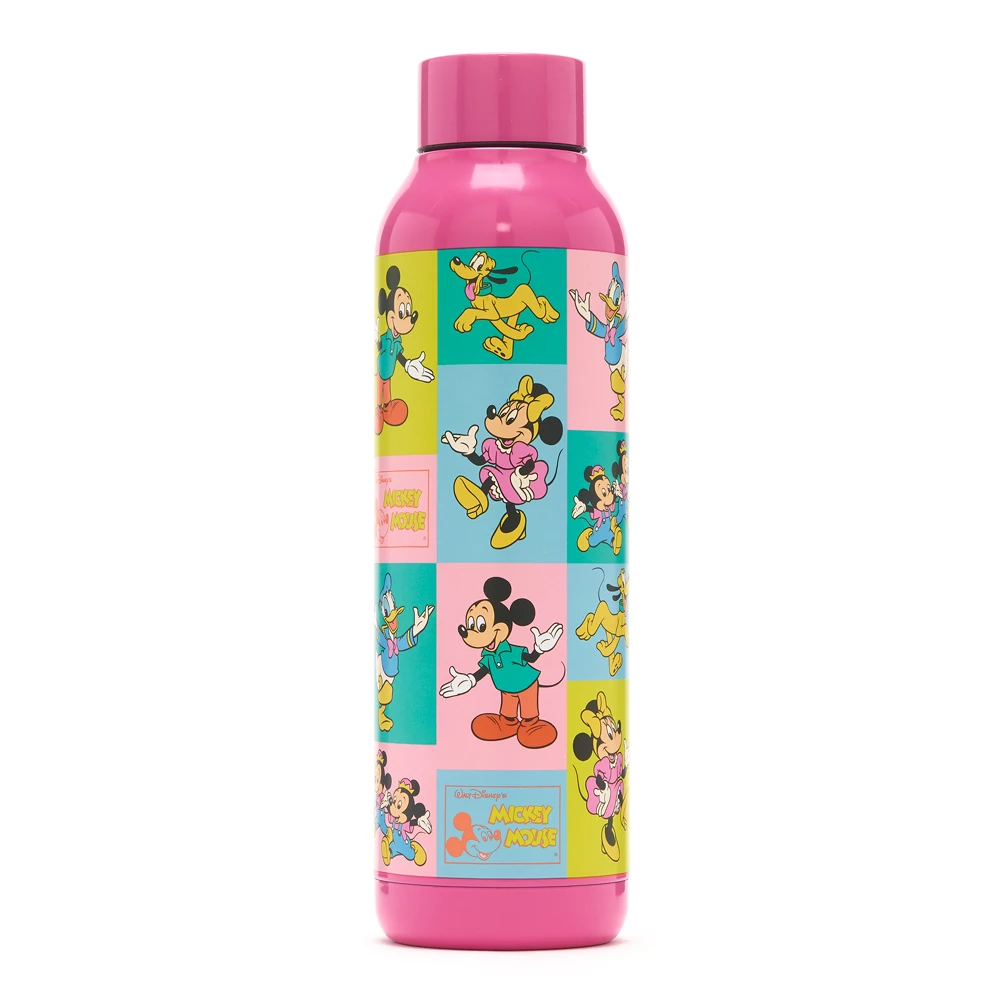 Disney Store Gourde Mickey et ses Amis en acier inoxydable