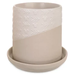 Disneyland Pot De Fleur Mickey Mouse Homestead