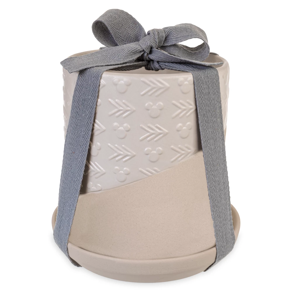 Disneyland Pot de fleur Mickey Mouse Homestead